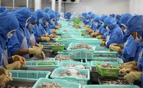 2019年前8月越南虾类出口额达19.3亿美元