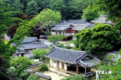 Hàn Quốc tăng cường bảo tồn các thư viện cổ 