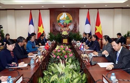 越南国会主席阮氏金银同老挝国会主席巴妮举行会谈