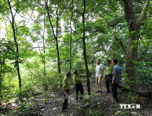 Kon Tum huy động sức mạnh cộng đồng cùng chung tay giữ rừng