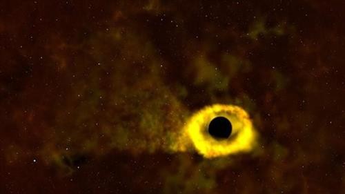 Khoảnh khắc hố đen “xé xác” một ngôi sao