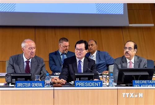 杨志勇大使：国际社会高度评价越南WIPO成员国大会主席的协调作用
