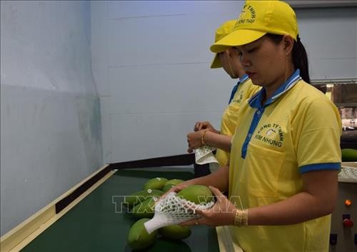 欧盟于9月1日起开始对越南农产品进行严格检查