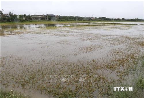 Quảng Trị huy động lực lượng khắc phục hậu quả mưa lũ