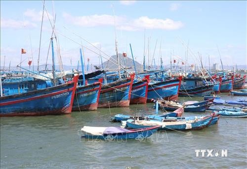 Khắc phục "thẻ vàng" IUU: Phú Yên đẩy nhanh lắp đặt thiết bị giám sát tàu cá