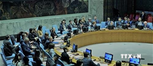 越南主持联合国安理会关于马里局势的会议