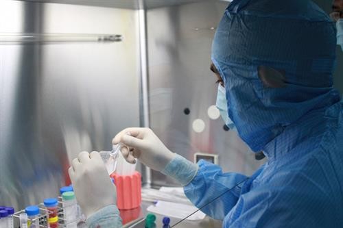 Ba Lan trở thành nước đi đầu châu Âu về dịch vụ lưu trữ tế bào gốc