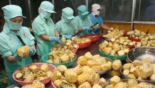 2020年越南农业力争实现出口额达到420亿美元的目标