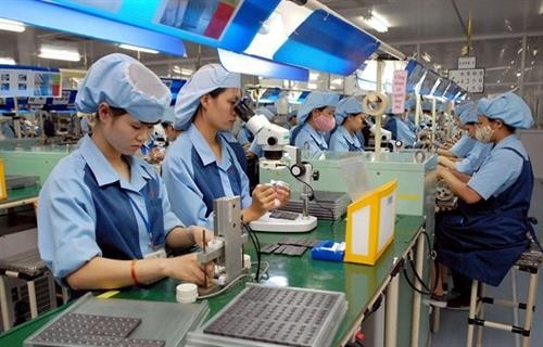 私营企业是越南经济中的一个亮点