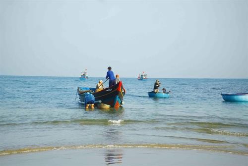 Quảng Ngãi: Ngư dân trúng đậm “lộc biển” cuối năm