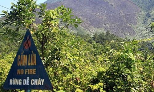 Huyện miền núi Khánh Vĩnh tăng cường công tác bảo vệ rừng