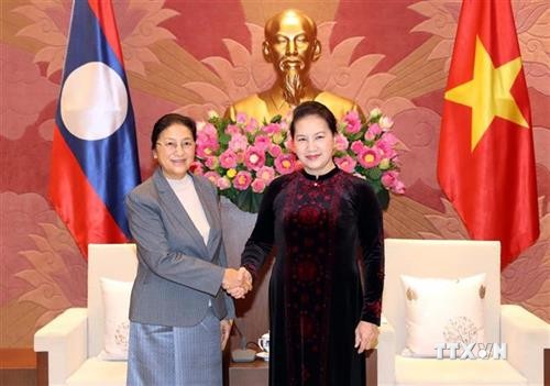 越南国会主席阮氏金银会见老挝国会主席巴尼·亚陶都