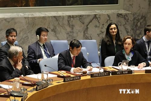 越南与联合国：许多国家对越南出色完成联合国安理会主席职责给予好评
