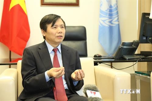 越南与联合国安理会：越南已经完成安理会1月轮值主席国任期内想要做的事情
