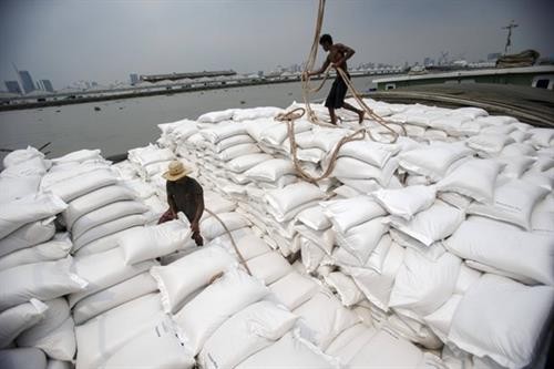 缅甸计划2019-2020财年出口250万吨大米