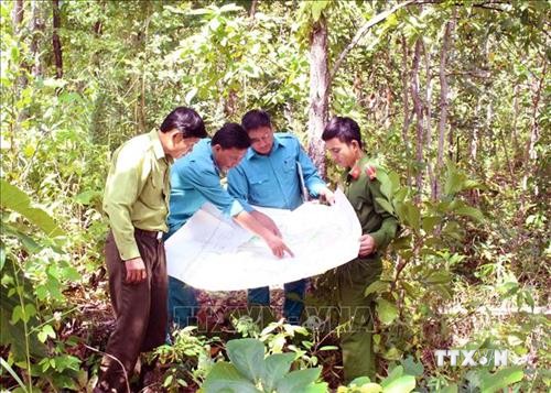Cà Mau nỗ lực bảo vệ hơn 41.000 ha rừng trong mùa khô
