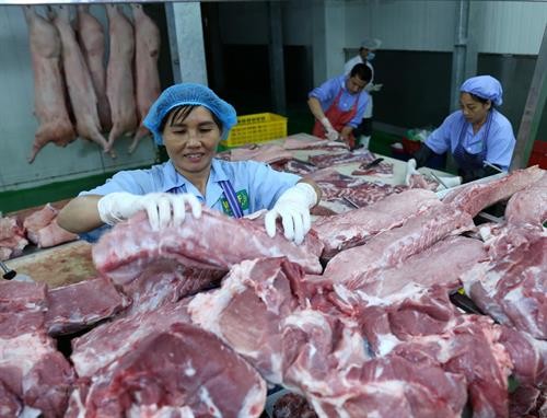 农业与农村发展部：从本月起猪肉供应量回升
