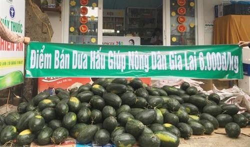 韩国携手助力解决越南农产品滞销问题