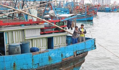 Biển đảo Việt Nam: Ngư dân Khánh Hòa tấp nập vươn khơi