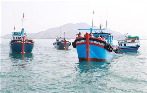 越南国家海洋经济可持续的发展战略执行指导委员会获批成立