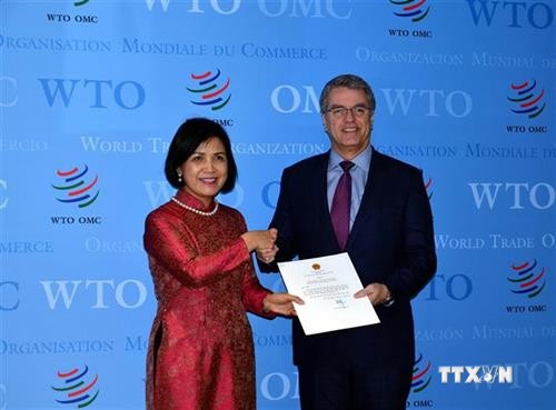 越南承诺同世贸组织保持密切配合
