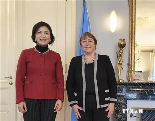 联合国人权事务高级专员高度评价越南在促进和维护人权方面取得的成就