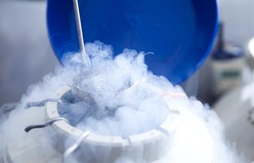 Bệnh nhân ung thư đầu tiên trên thế giới có thể sinh con bằng trứng đông lạnh