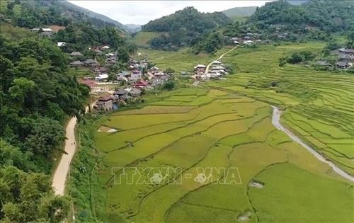 Giải pháp đột phá thúc đẩy xây dựng nông thôn mới ở Sơn La