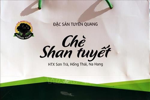 Phát triển thương hiệu chè Shan tuyết Na Hang