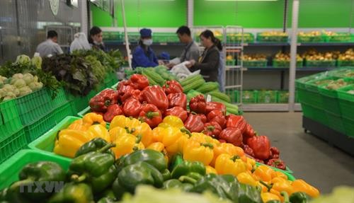 EVFTA——越南蔬果扩大出口市场的绝佳机会