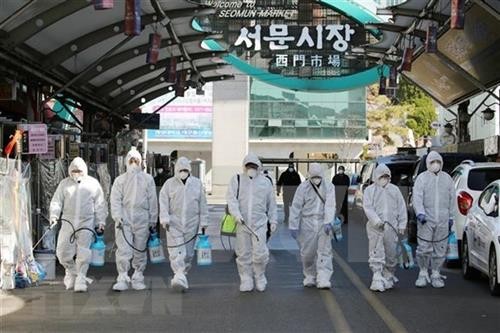 新冠肺炎疫情：越南外交部主动采取措施保护在韩国越南公民