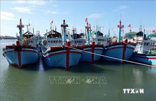 Ninh Thuận xây dựng nghề cá phát triển bền vững
