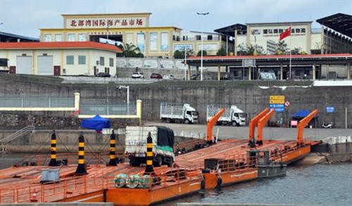 广宁省卡龙边境河临时浮桥恢复通车