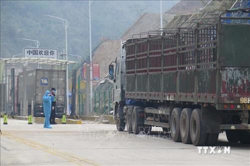 Lạng Sơn khôi phục hoạt động thương mại của cư dân biên giới