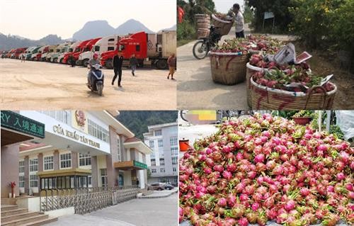 新型冠状病毒感染肺炎疫情：越南农产品销售方案