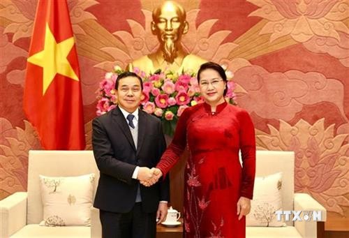 越南国会主席阮氏金银会见老挝驻越大使