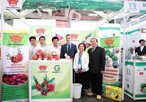 越南企业参加2020年德国柏林国际水果蔬菜展览会