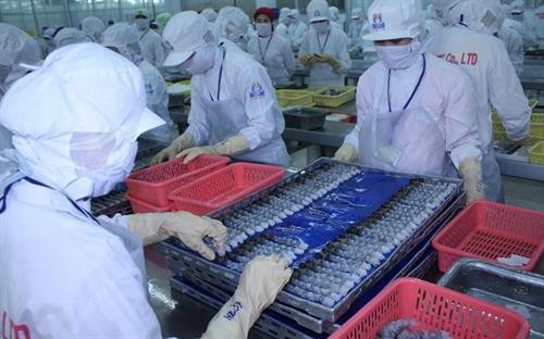 美国对出口虾类产品逃税行为提起调查