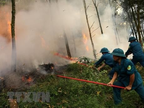 Bình Thuận có hơn 150.000 ha rừng nguy cơ cháy cao