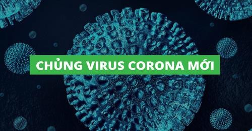 Dịch viêm đường hô hấp cấp (Virus Corona): Không chủ quan, lơ là và bảo đảm công tác phòng, chống dịch bệnh