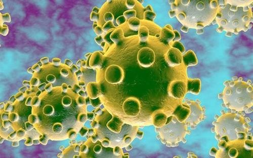 Dịch bệnh do chủng mới virus Corona: Thông tin nCoV lây lan qua bụi khí là không chính xác