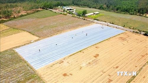 Quảng Trị huy động trên 38.000 tỷ đồng xây dựng nông thôn mới