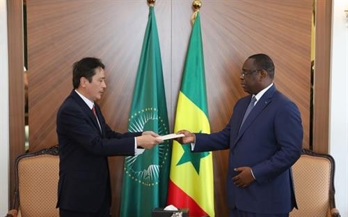 塞内加尔希望加强与越南在各领域合作