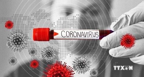 Dịch COVID-19: Các nhà khoa học tìm ra điểm yếu của virus