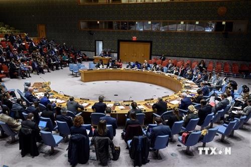 越南支持联合国安理会解决非洲面临的恐怖和暴力极端主义