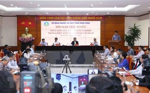 阮春强部长：促进农业生产确保满足国内市场和出口的需求