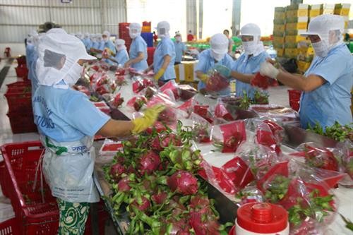 越南农产品和家禽出口活动较为乐观