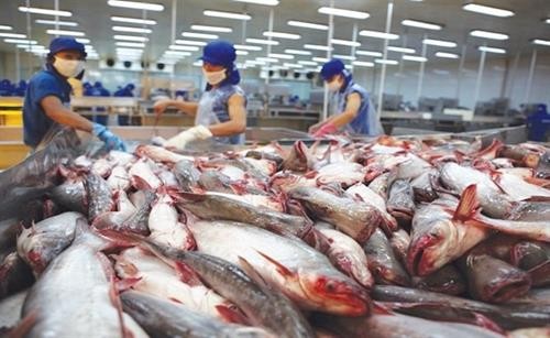 越南查鱼对美出口呈激增态势