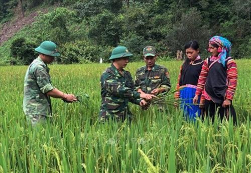Dấu ấn người lính quân hàm xanh trong lòng đồng bào nơi biên cương tỉnh Lai Châu