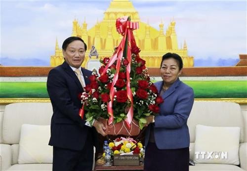 越南党和国家领导致电和送花篮庆祝老挝人民革命党成立65周年